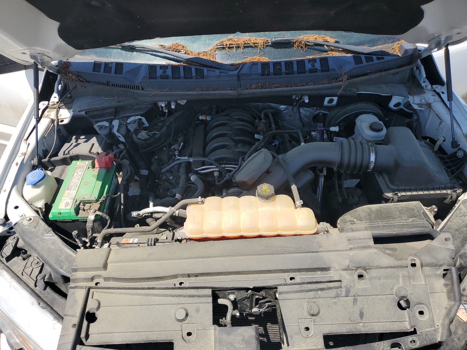 1FTEW1C50JKF70409 2018 Ford F150 Supercrew