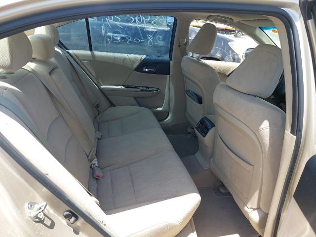 1HGCR2671DA609084 - 2013 HONDA ACCORD - #56544534