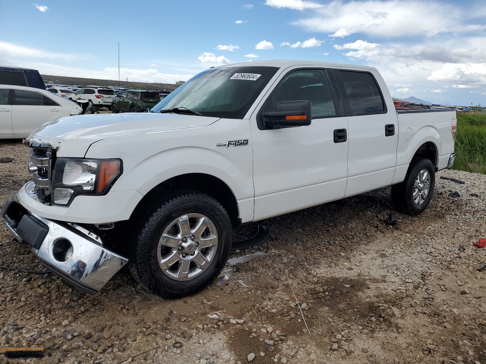 2013 Ford F150 Supercrew vin: 1FTFW1CF2DFE06962