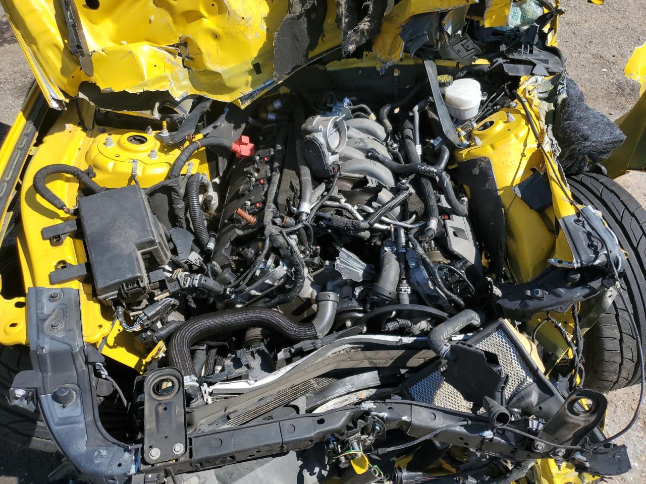 2015 Ford Mustang Gt VIN: 1FA6P8CF3F5306213 Lot: 54545284