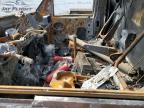 Elgin, IL에서 판매 중인 2014 Ford Econoline E350 Super Duty Cutaway Van - Burn