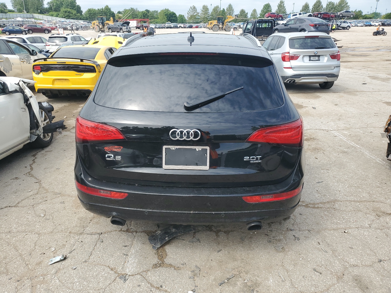 WA1LFAFP6DA042446 2013 Audi Q5 Premium Plus