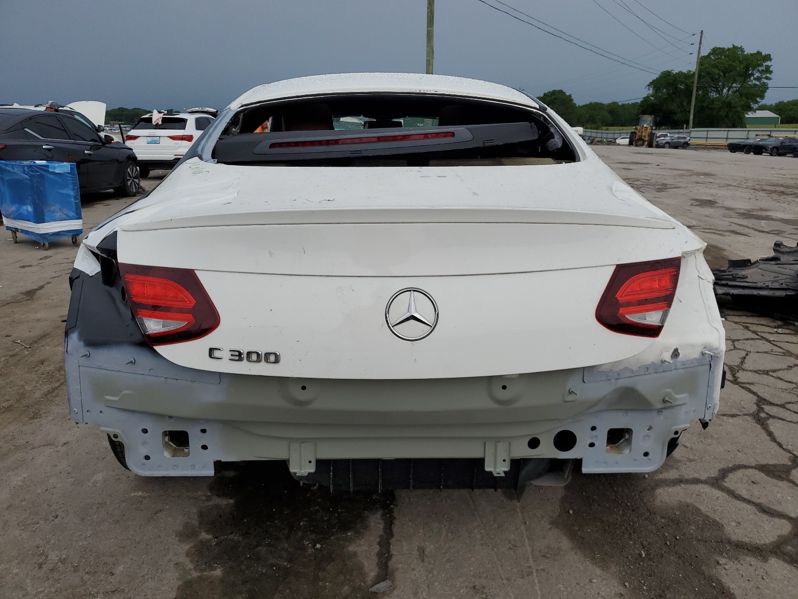 WDDWJ8DB3KF846775 2019 Mercedes-Benz C 300