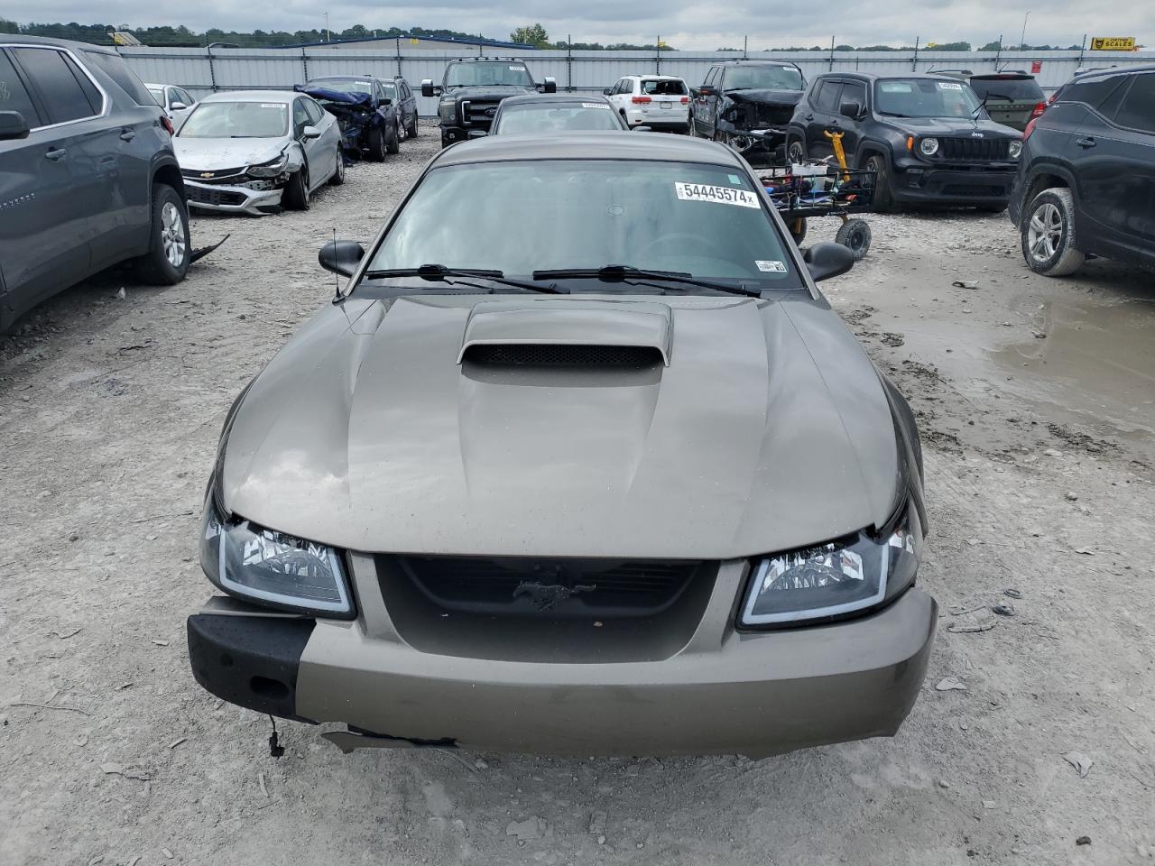 2002 Ford Mustang Gt VIN: 1FAFP42X62F213144 Lot: 54445574