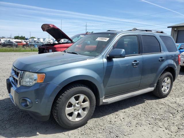 2010 Ford Escape Limited