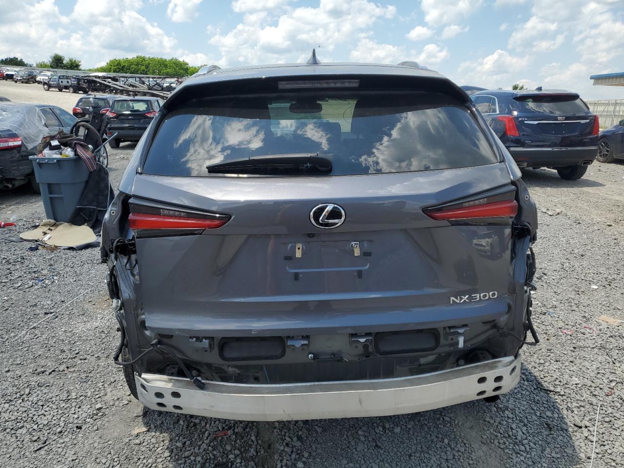 2021 Lexus Nx 300 Base VIN: JTJDARBZ1M2196262 Lot: 55605584