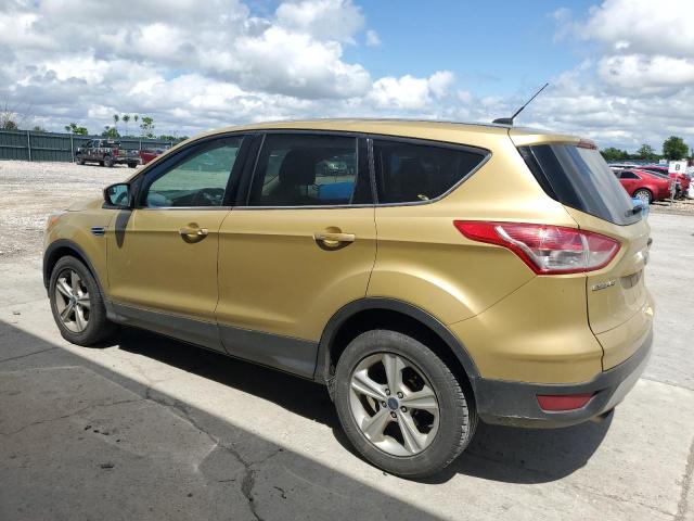  FORD ESCAPE 2014 Gold