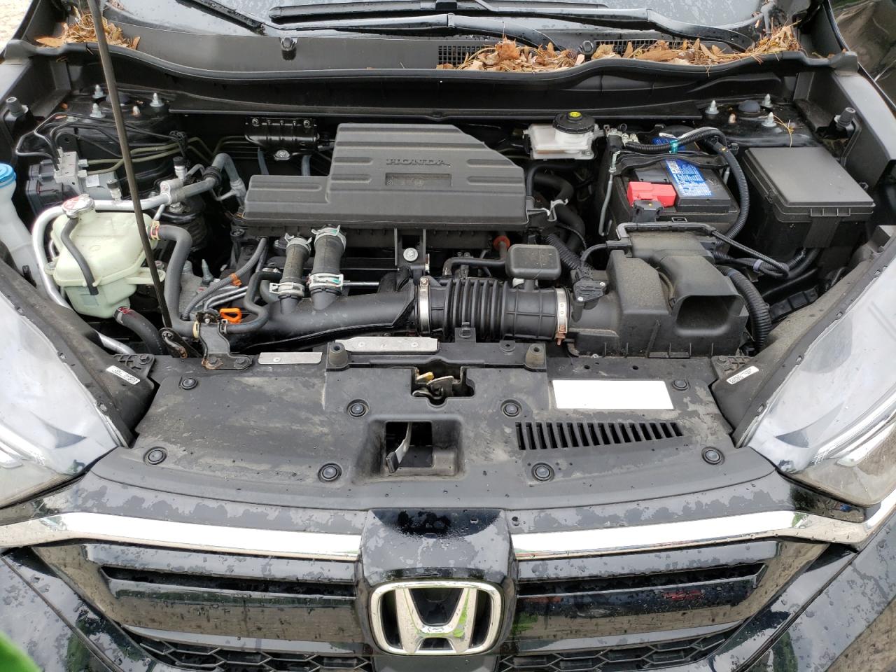 2021 Honda Cr-V Ex VIN: 2HKRW2H50MH679424 Lot: 55948054