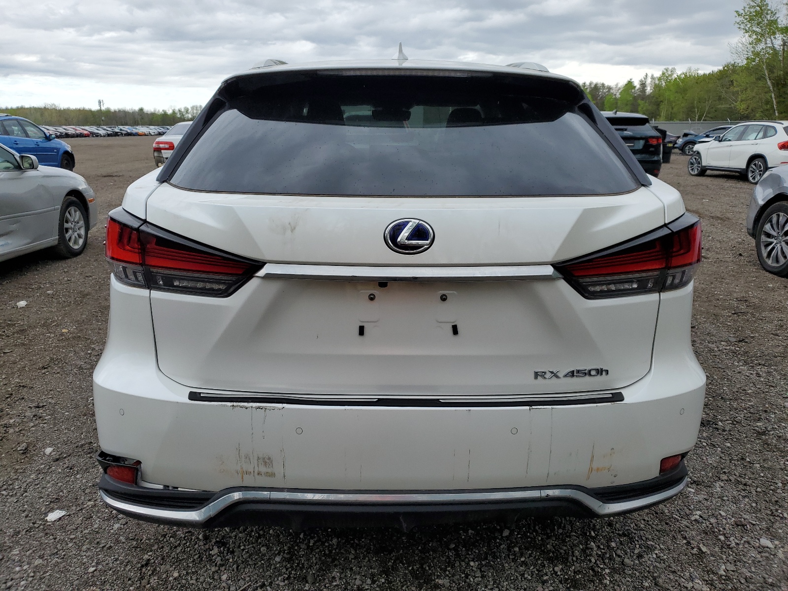 2T2JGMDAXLC056723 2020 Lexus Rx 450H