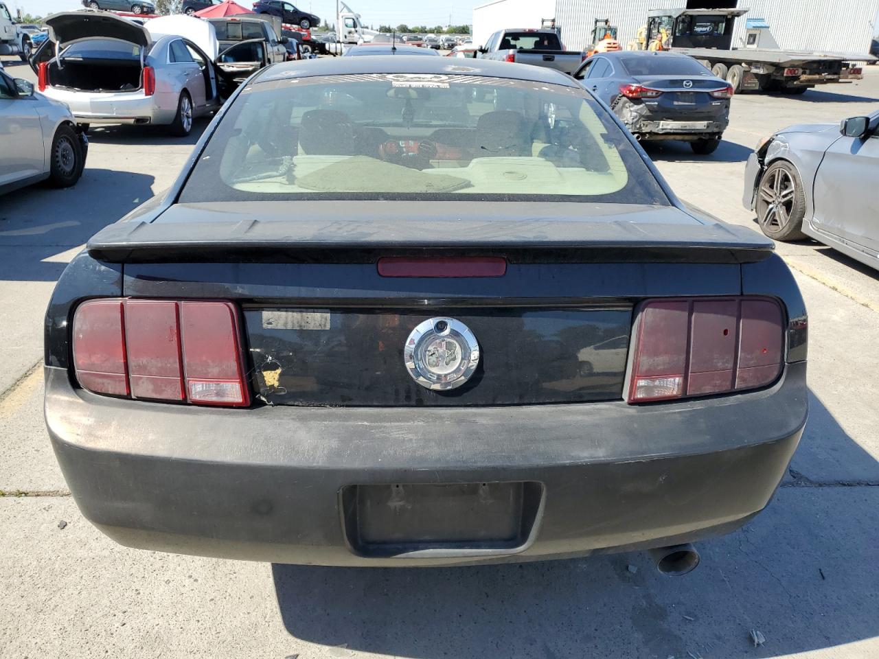 2008 Ford Mustang VIN: 1ZVHT80N085145619 Lot: 55026054