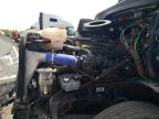 2023 Freightliner Cascadia 126  for Sale in Dyer, IN - All Over