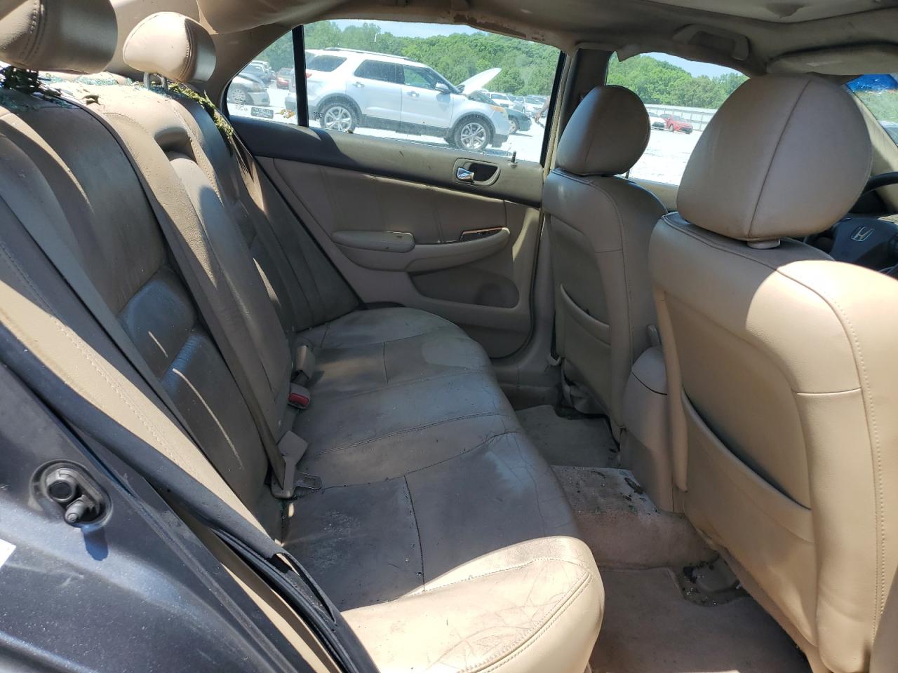 2006 Honda Accord Ex VIN: 1HGCM56896A108438 Lot: 53409134