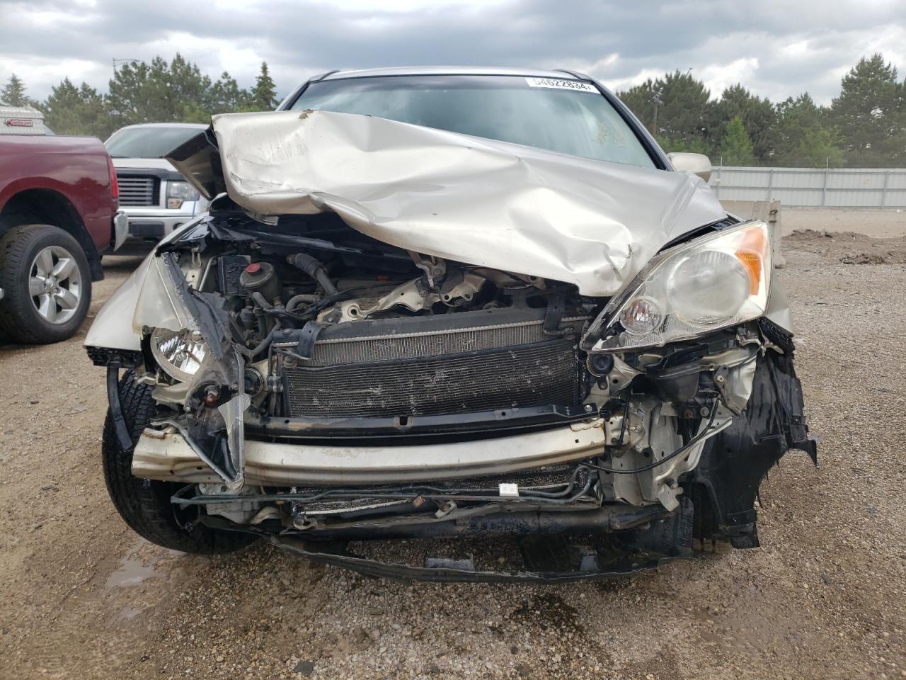 2008 Honda Cr-V Exl VIN: JHLRE387X8C038196 Lot: 54622834