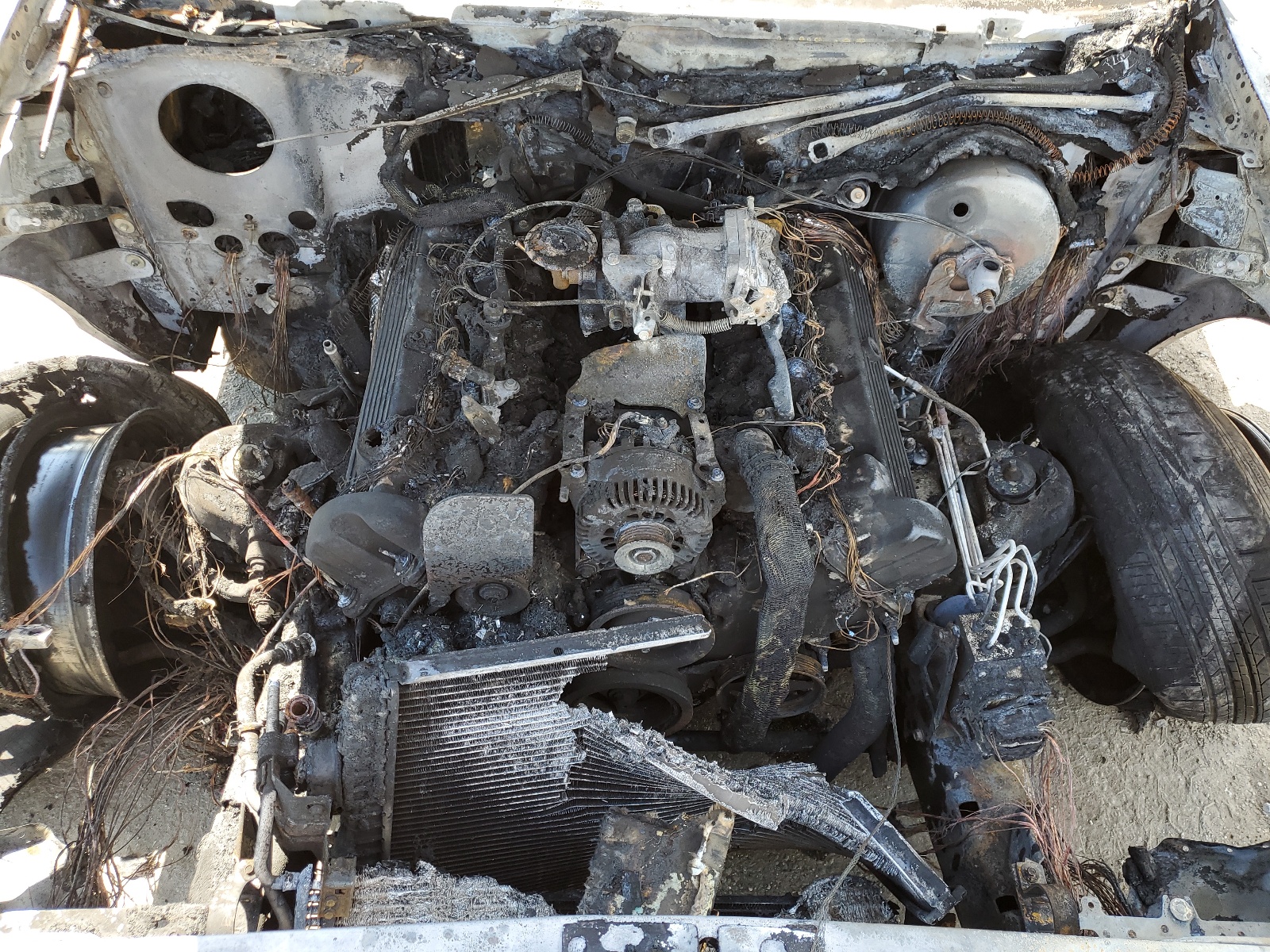 2FAFP73W73X152707 2003 Ford Crown Victoria