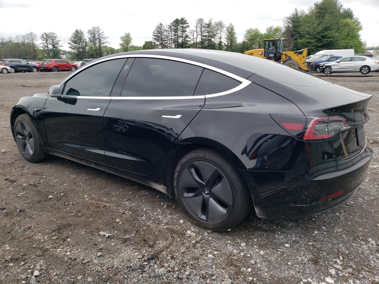 2019 Tesla Model 3 VIN: 5YJ3E1EA9KF305250 Lot: 53923914