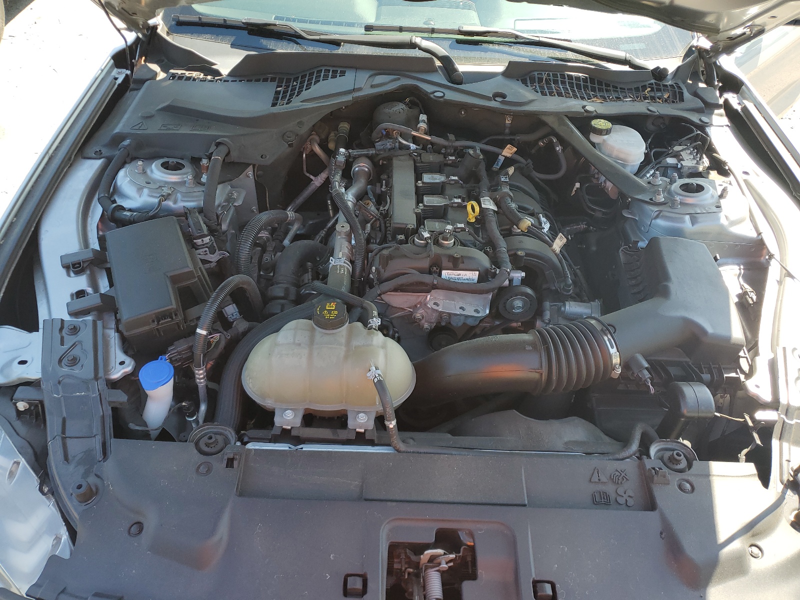 1FATP8UH9M5124936 2021 Ford Mustang