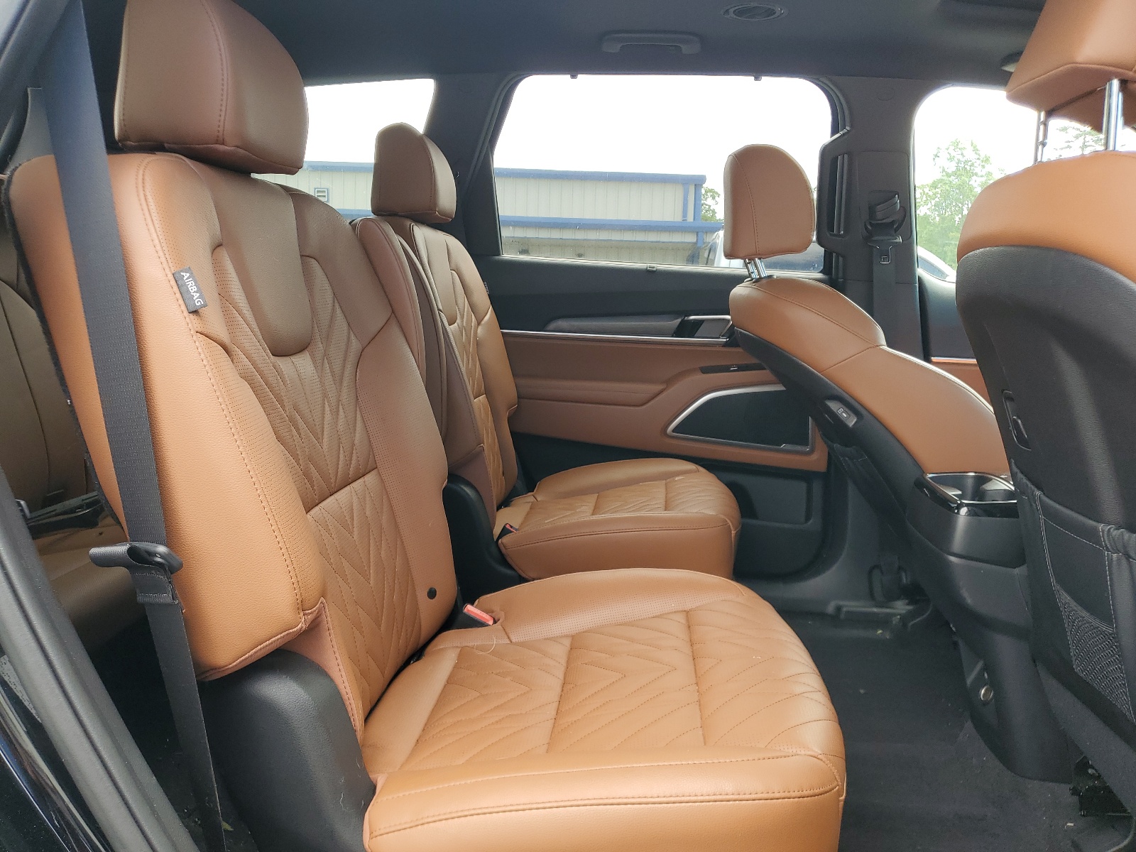 5XYP3DGC6RG446545 2024 Kia Telluride Ex