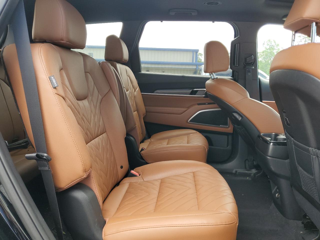 2024 Kia Telluride Ex VIN: 5XYP3DGC6RG446545 Lot: 55420754