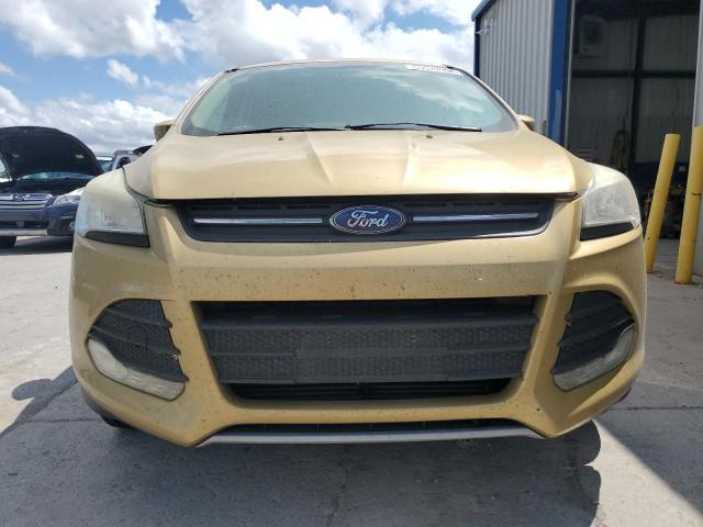  FORD ESCAPE 2014 Gold