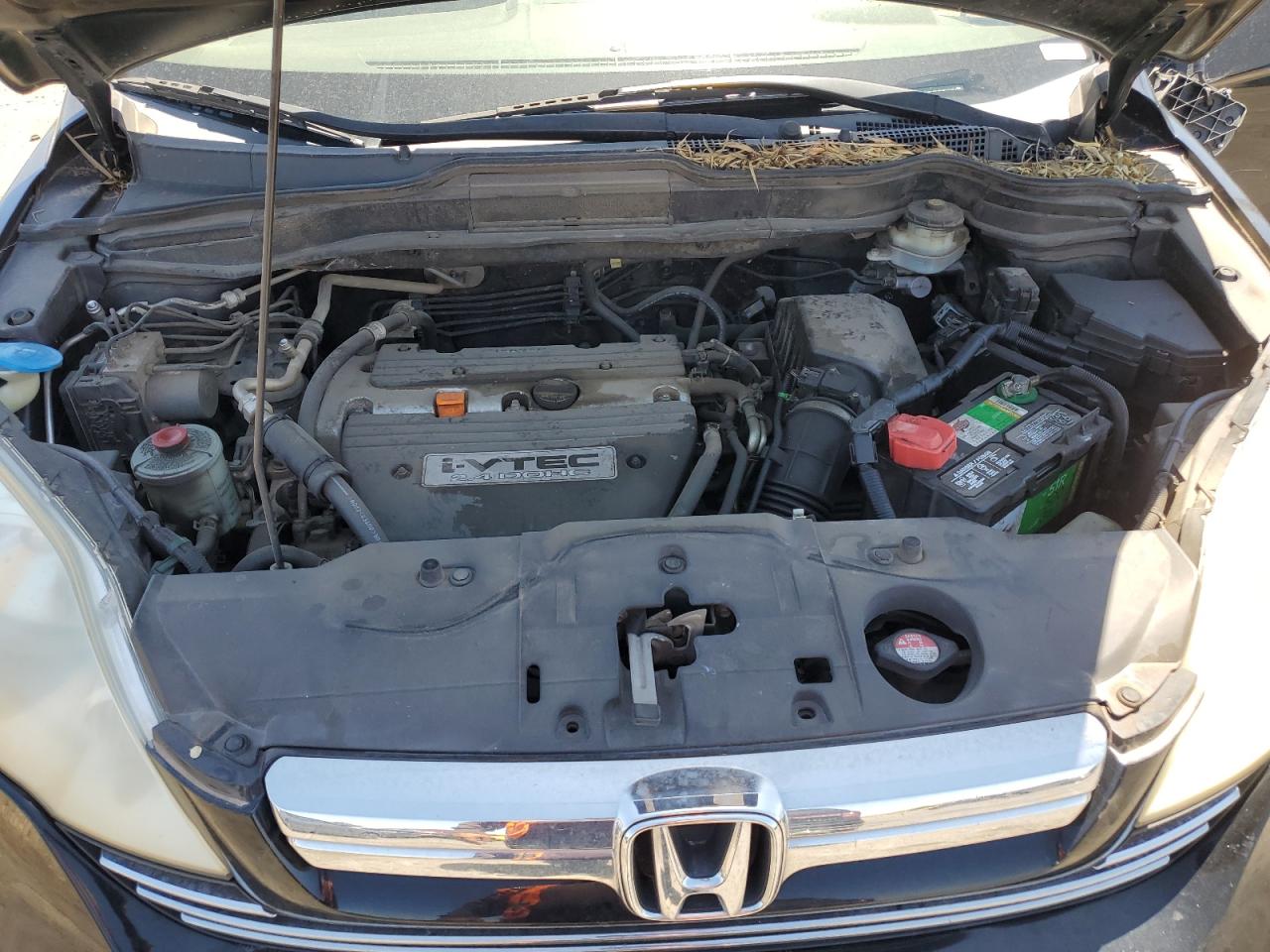 2007 Honda Cr-V Exl VIN: JHLRE48767C122035 Lot: 57043794