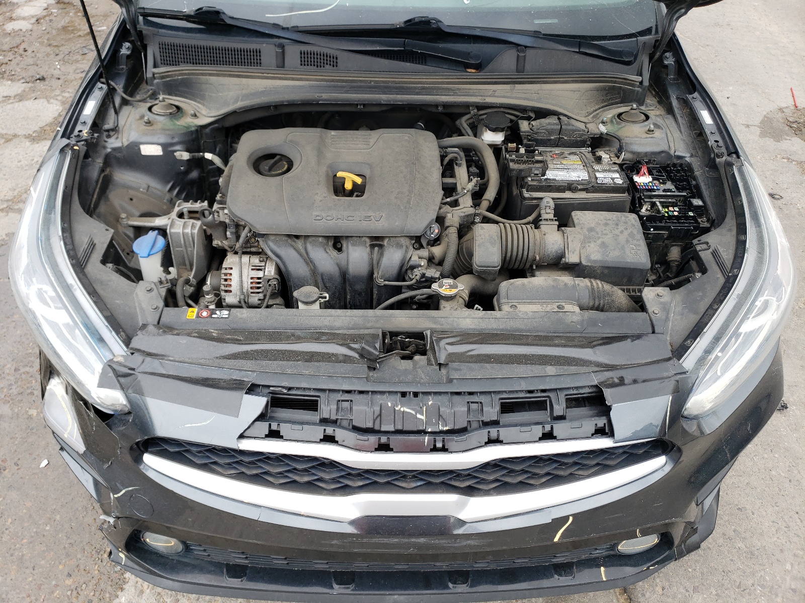 3KPF24AD0KE126687 2019 Kia Forte Fe