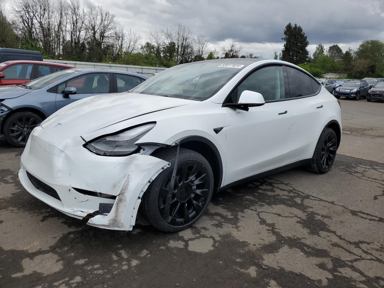 7SAYGAEE6RF985642 2024 TESLA MODEL Y - Image 1