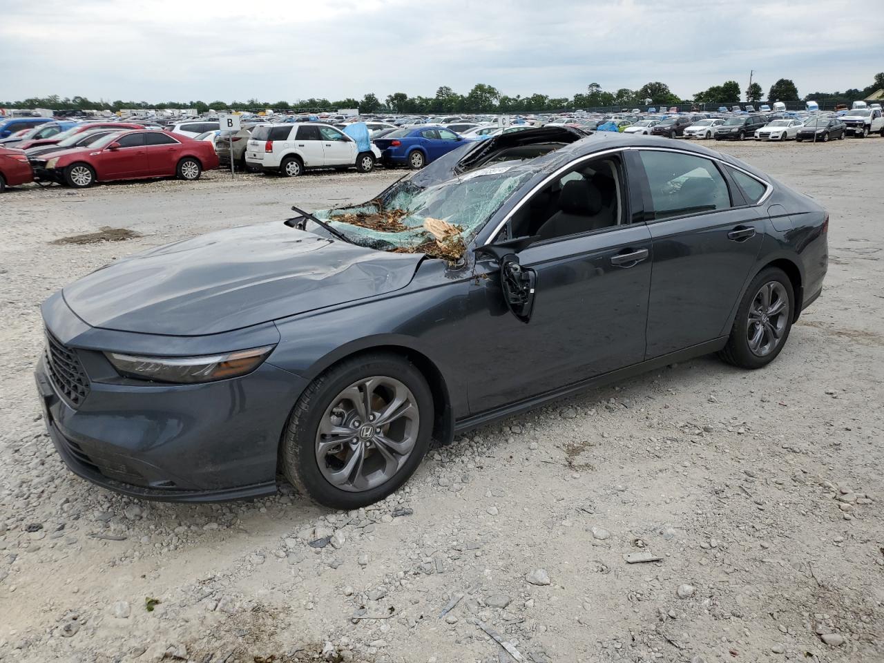 1HGCY1F3XRA023145 2024 HONDA ACCORD - Image 1