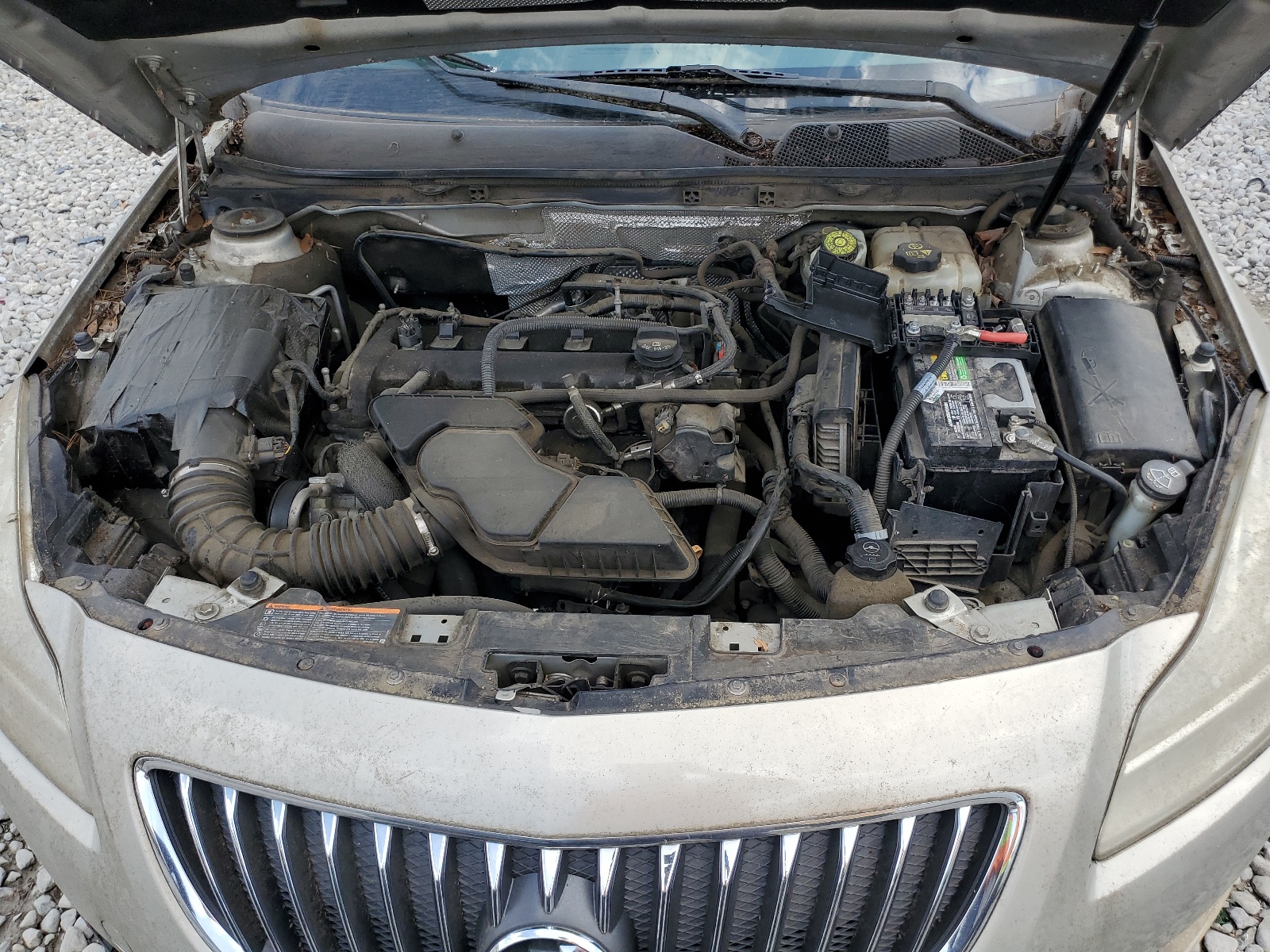 W04GN5ECXB1002698 2011 Buick Regal Cxl