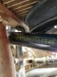 2006 Suzuki Lt-A700 Xk5 for Sale in Ellwood City, PA - All Over