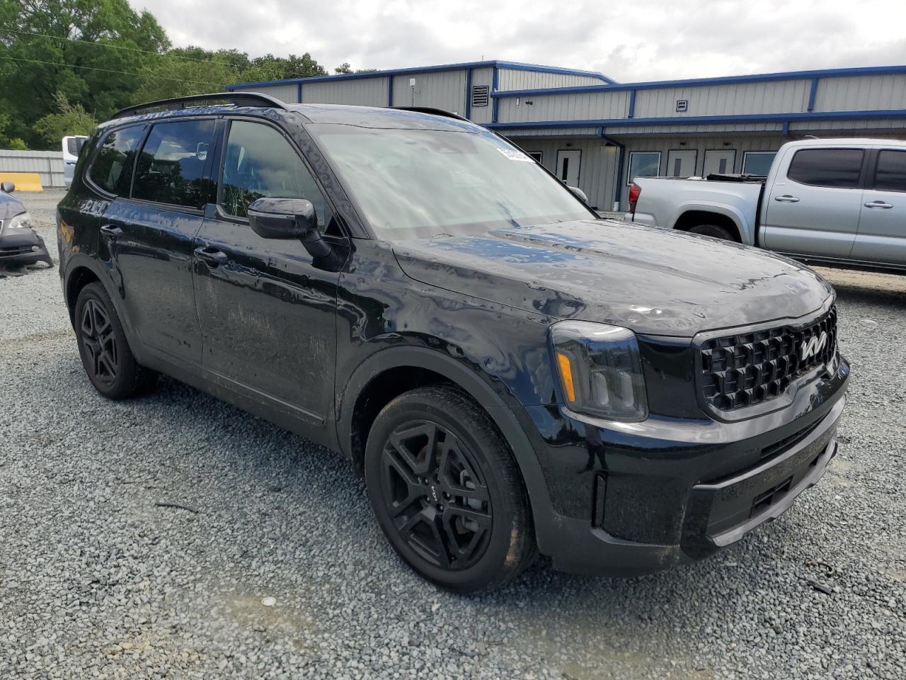 2024 Kia Telluride Ex VIN: 5XYP3DGC6RG446545 Lot: 55420754