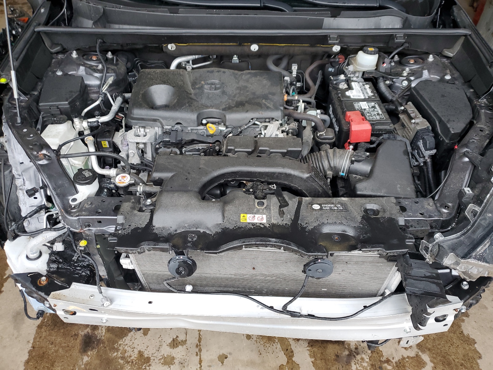 JTMP1RFV5LD052532 2020 Toyota Rav4 Xle