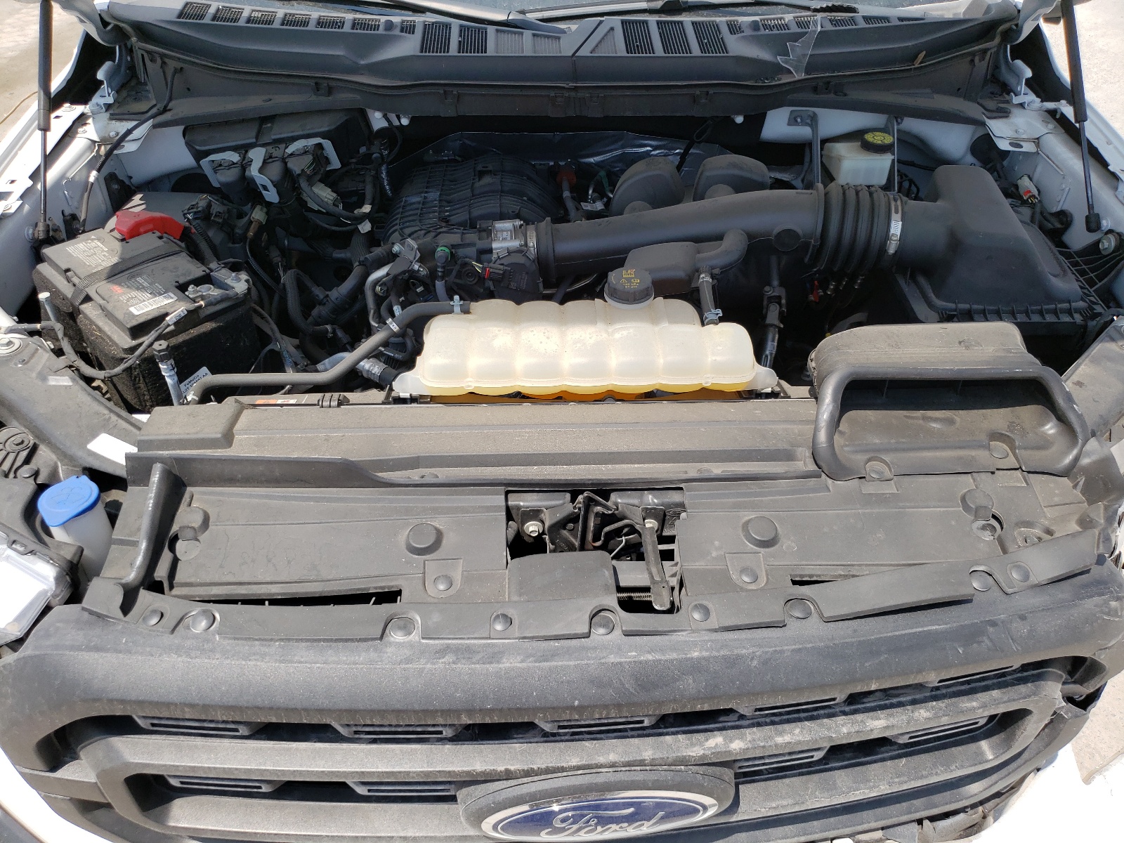 1FTMF1CB4NKD18251 2022 Ford F150