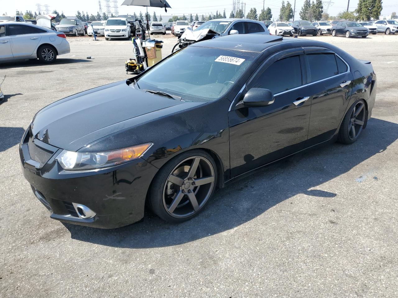 2012 Acura Tsx VIN: JH4CU2F43CC012703 Lot: 56855674