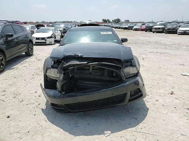 2014 Ford Mustang VIN: 1ZVBP8AM7E5310173 Lot: 54178614
