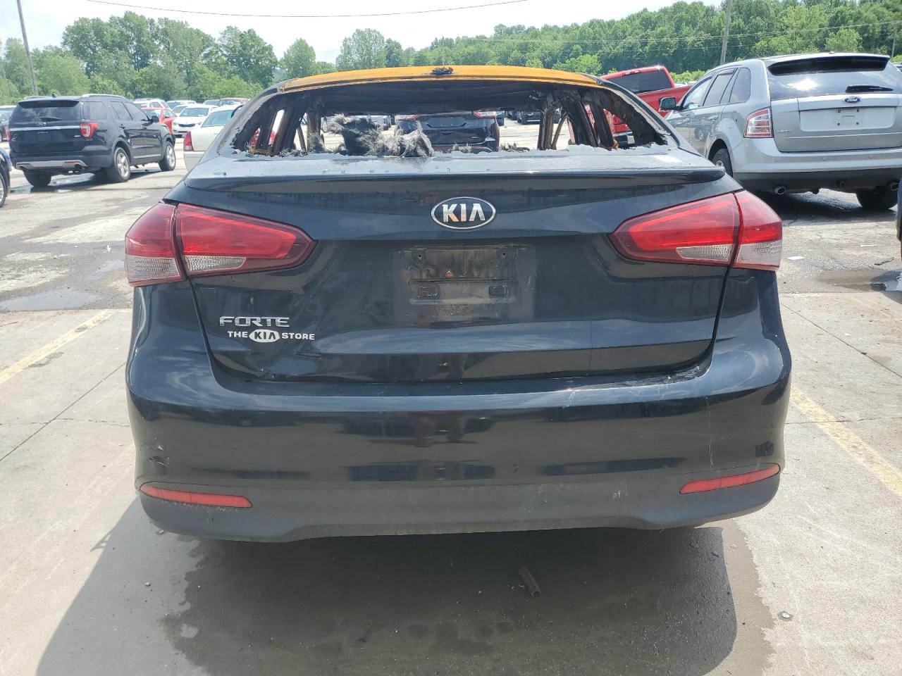 2017 Kia Forte Lx VIN: 3KPFK4A70HE113165 Lot: 53678904