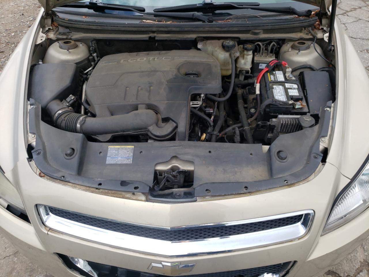 2009 Chevrolet Malibu 1Lt VIN: 1G1ZH57B59F123087 Lot: 49306834