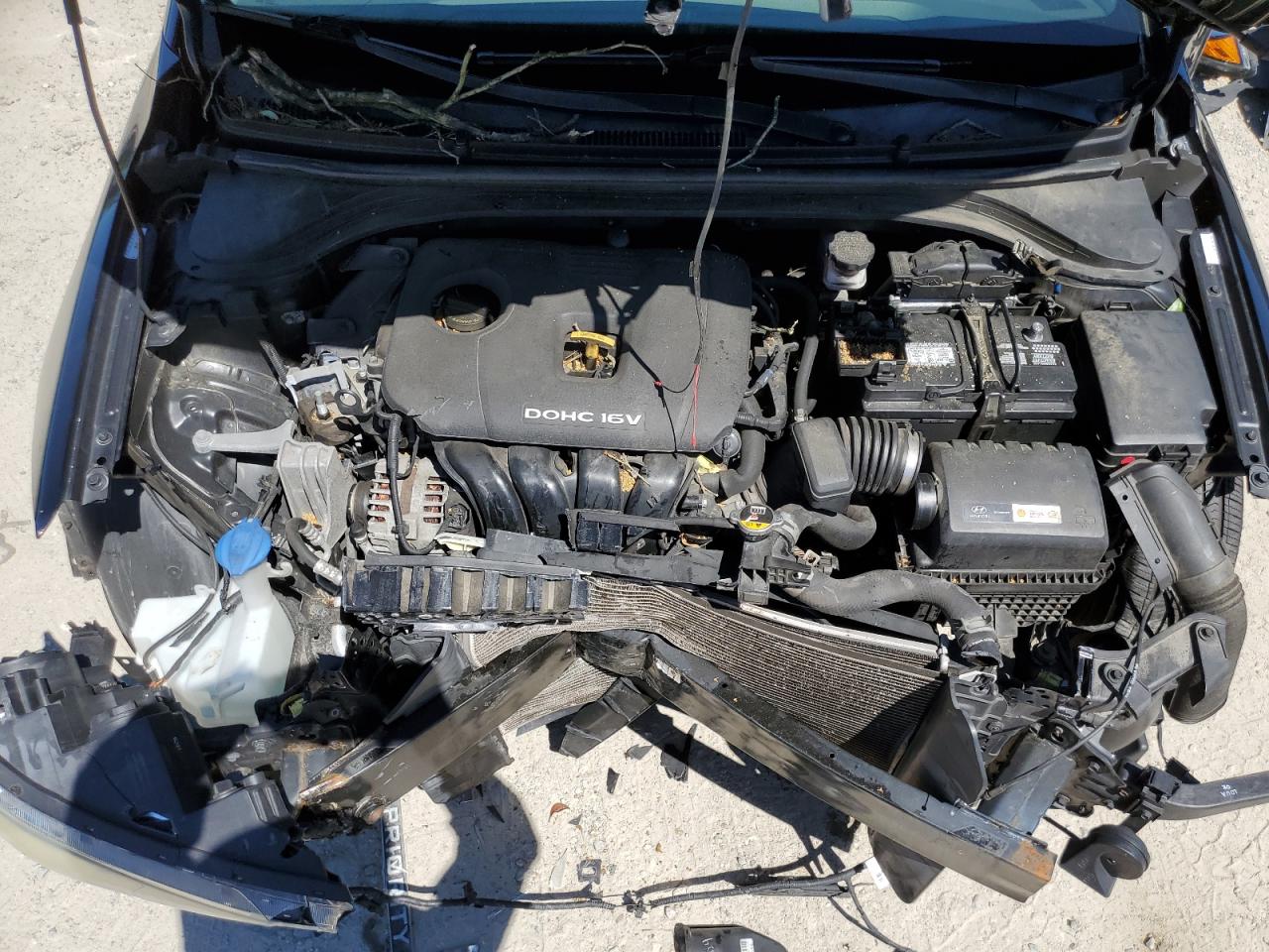 2017 Hyundai Elantra Se VIN: KMHD74LF1HU179895 Lot: 55706914