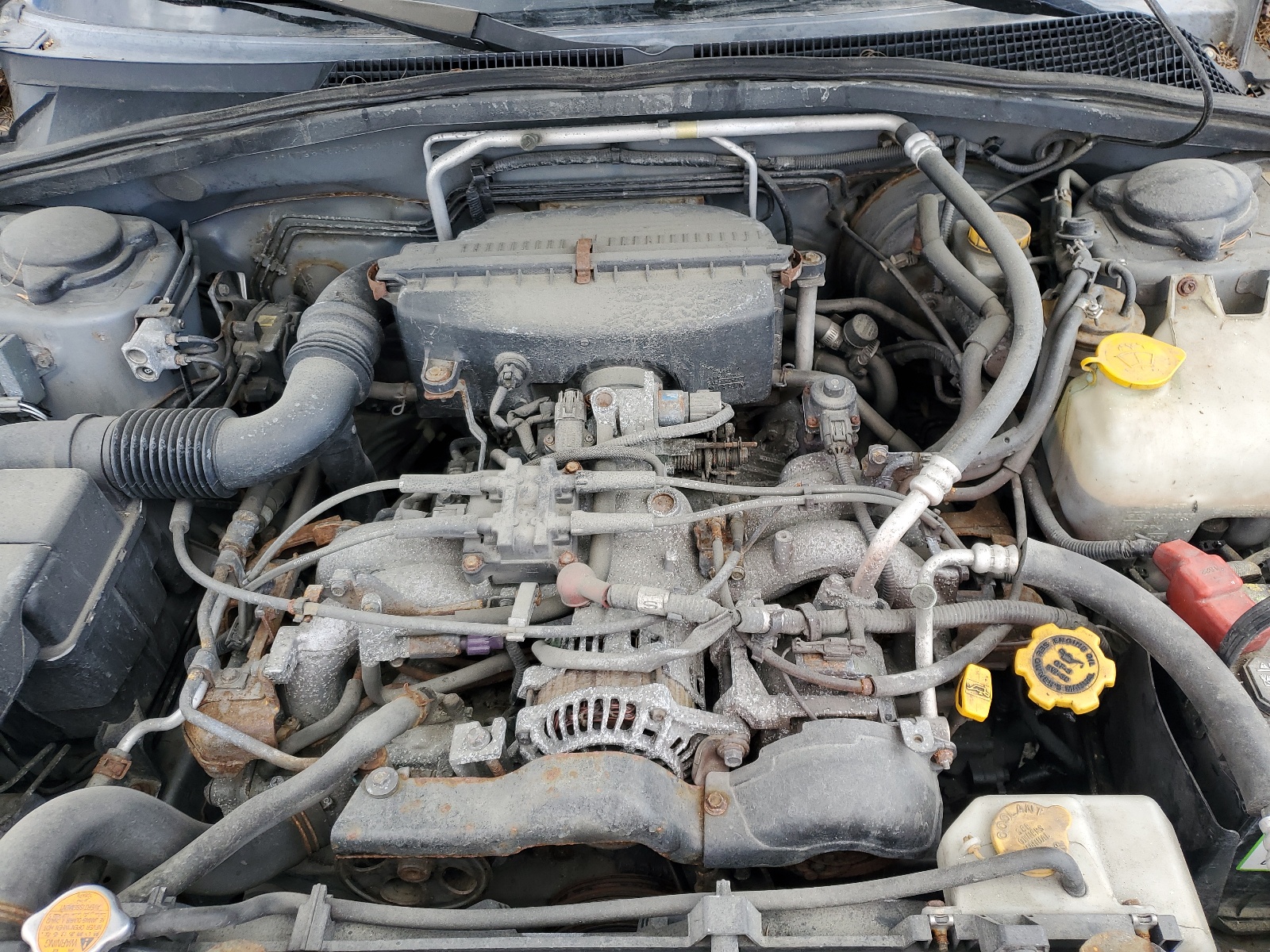 JF1SG63674H740116 2004 Subaru Forester 2.5X