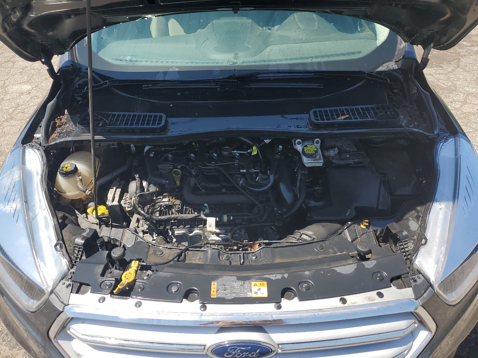 1FMCU9GD8KUB54395 2019 Ford Escape Se