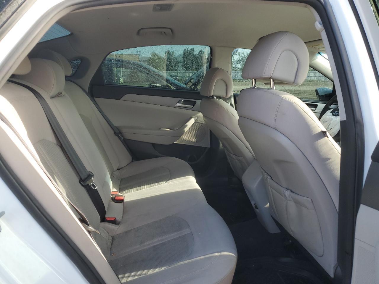 2015 Hyundai Sonata Se VIN: 5NPE24AF0FH142614 Lot: 56749024