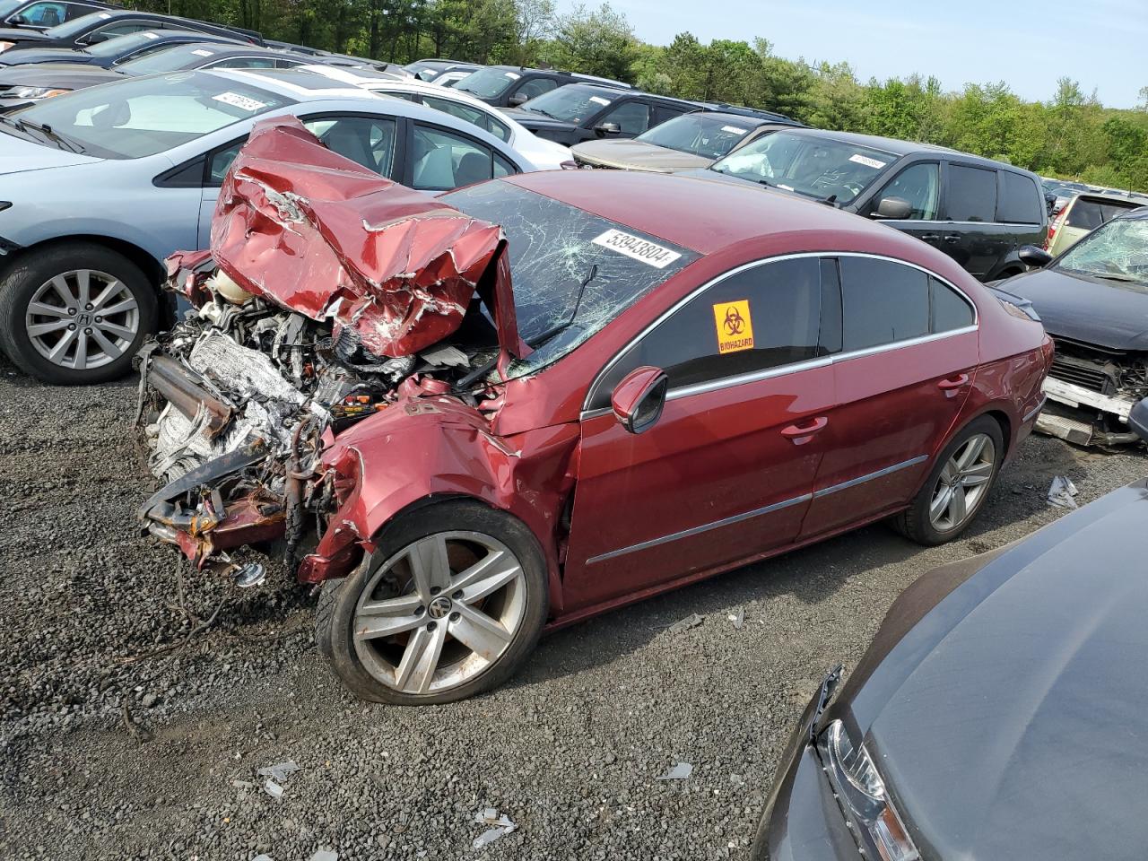 2015 Volkswagen Cc Sport de vânzare în New Britain, CT - Biohazard/Chemical