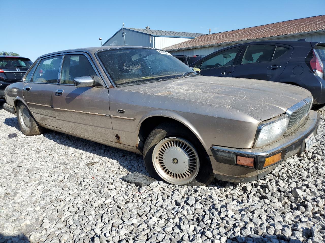 1993 Jaguar Xj6 Sovereign VIN: SAJHW1741PC669128 Lot: 62313154