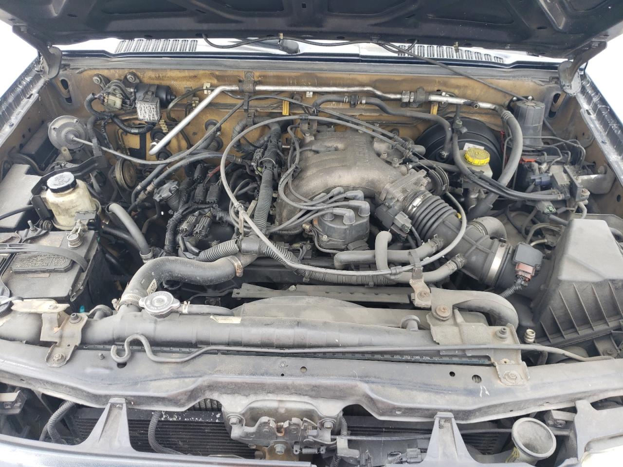 2000 Nissan Xterra Xe VIN: 5N1ED28T9YC576972 Lot: 56524344