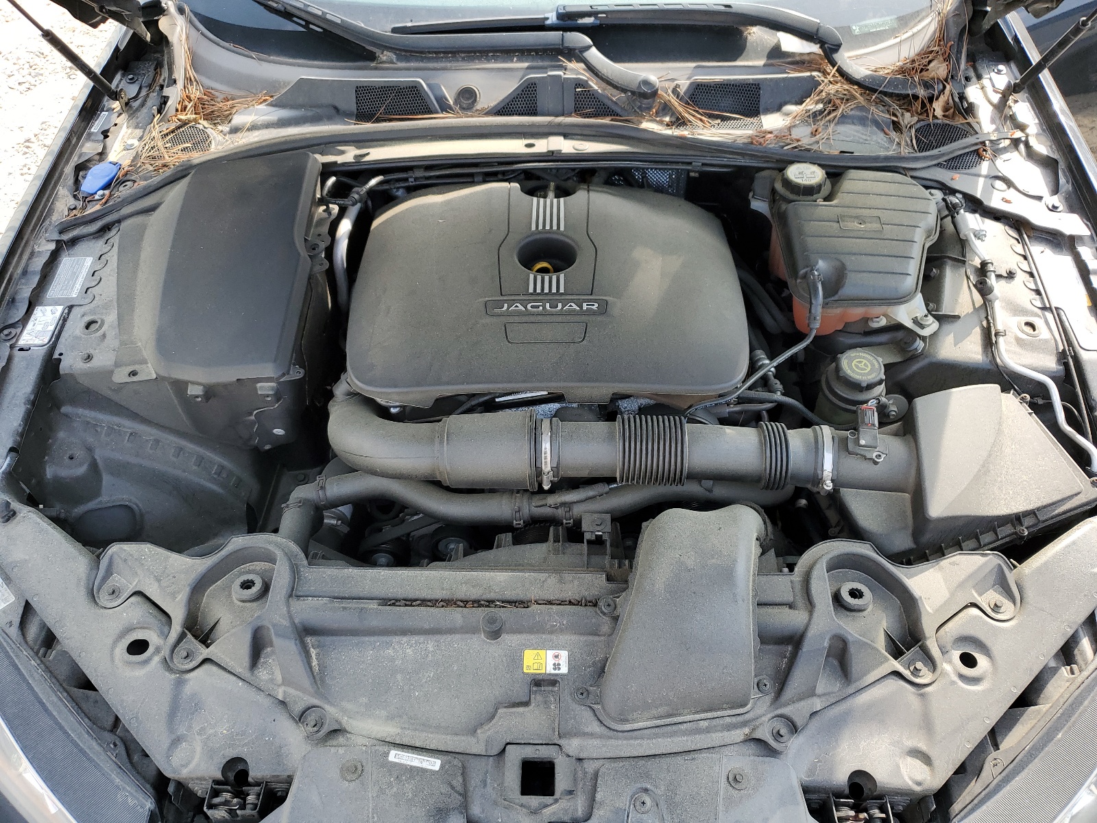 SAJWA0ESXEPU24805 2014 Jaguar Xf