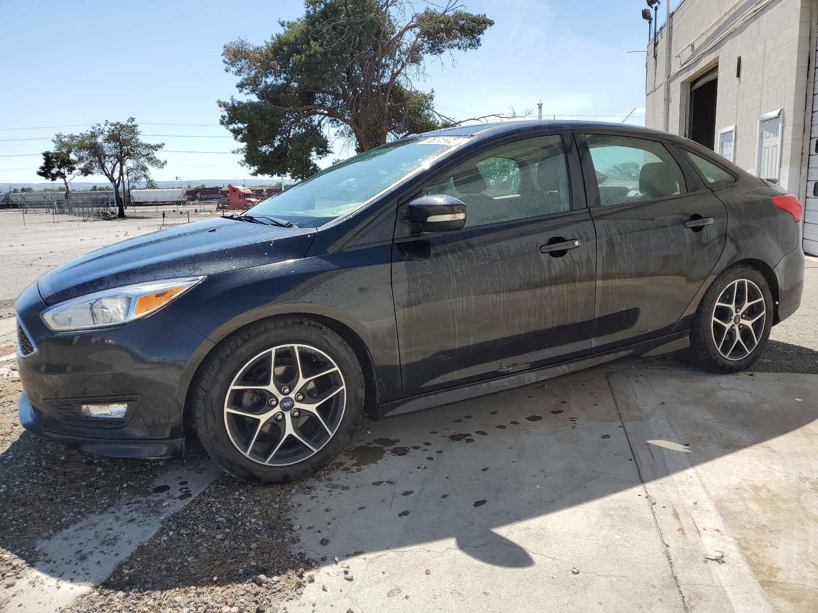 2015 Ford Focus Se vin: 1FADP3F20FL249144