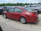 2007 Nissan Maxima Se იყიდება Lawrenceburg-ში, KY - Hail