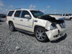 2011 Cadillac Escalade Luxury за продажба в Arcadia, FL - Front End