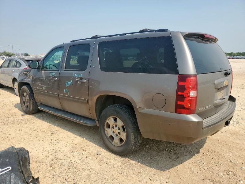  CHEVROLET SUBURBAN 2013 Цвет загара