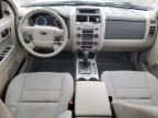 2011 Ford Escape Xlt   for Sale in Fredericksburg, VA - Rear End