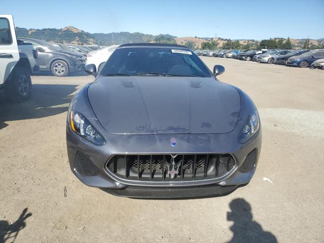  MASERATI ALL MODELS 2019 Gray